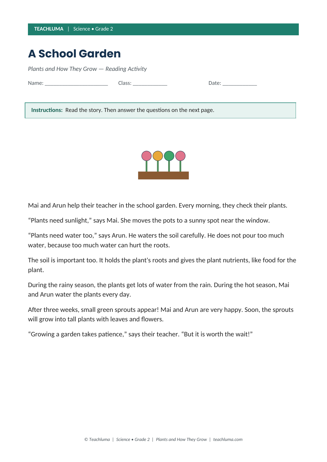 Grade 2 What Plants Need to Grow Reading Activity