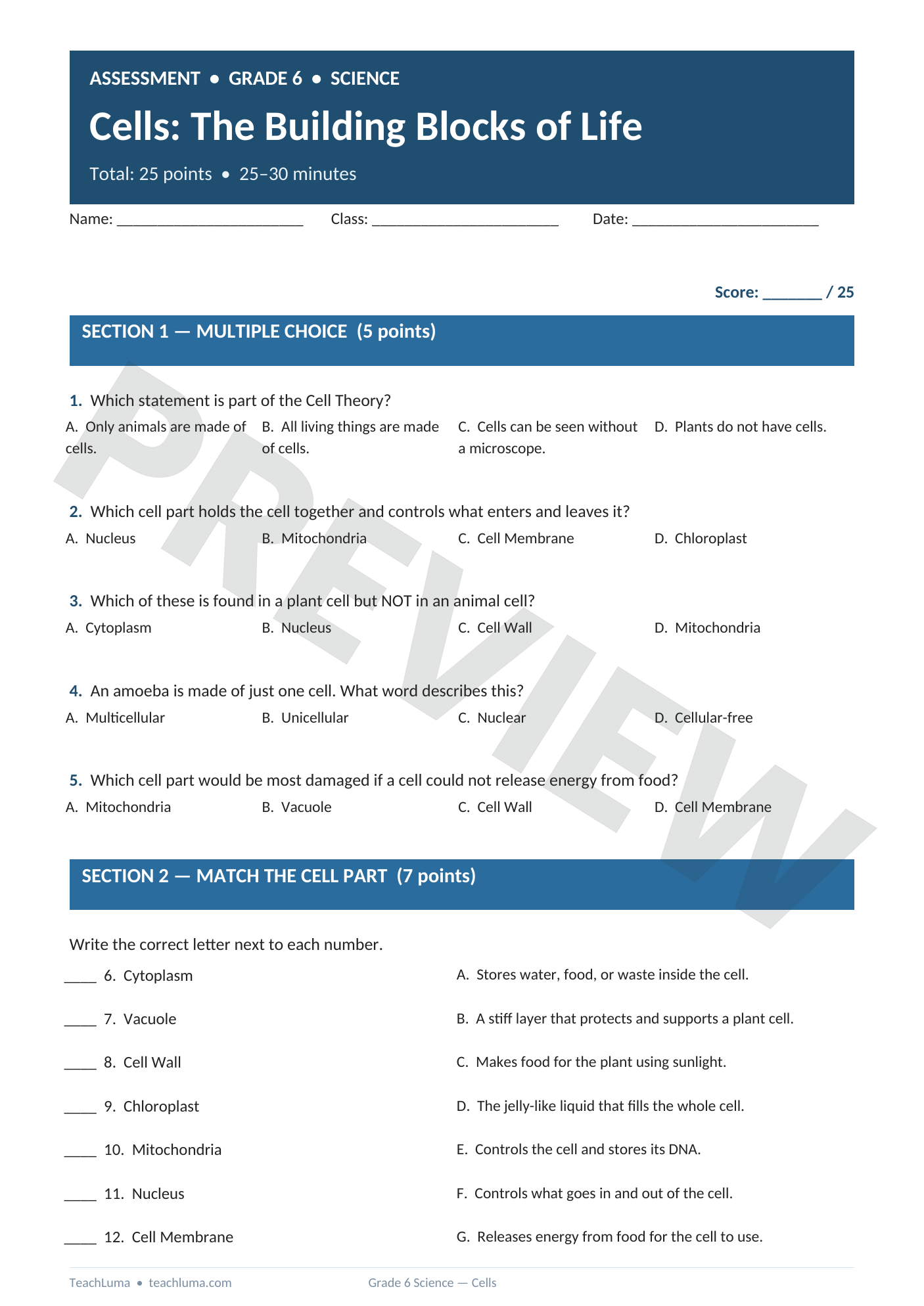Preview of Grade 6 Science Assessment: Cells — The Building Blocks of Life