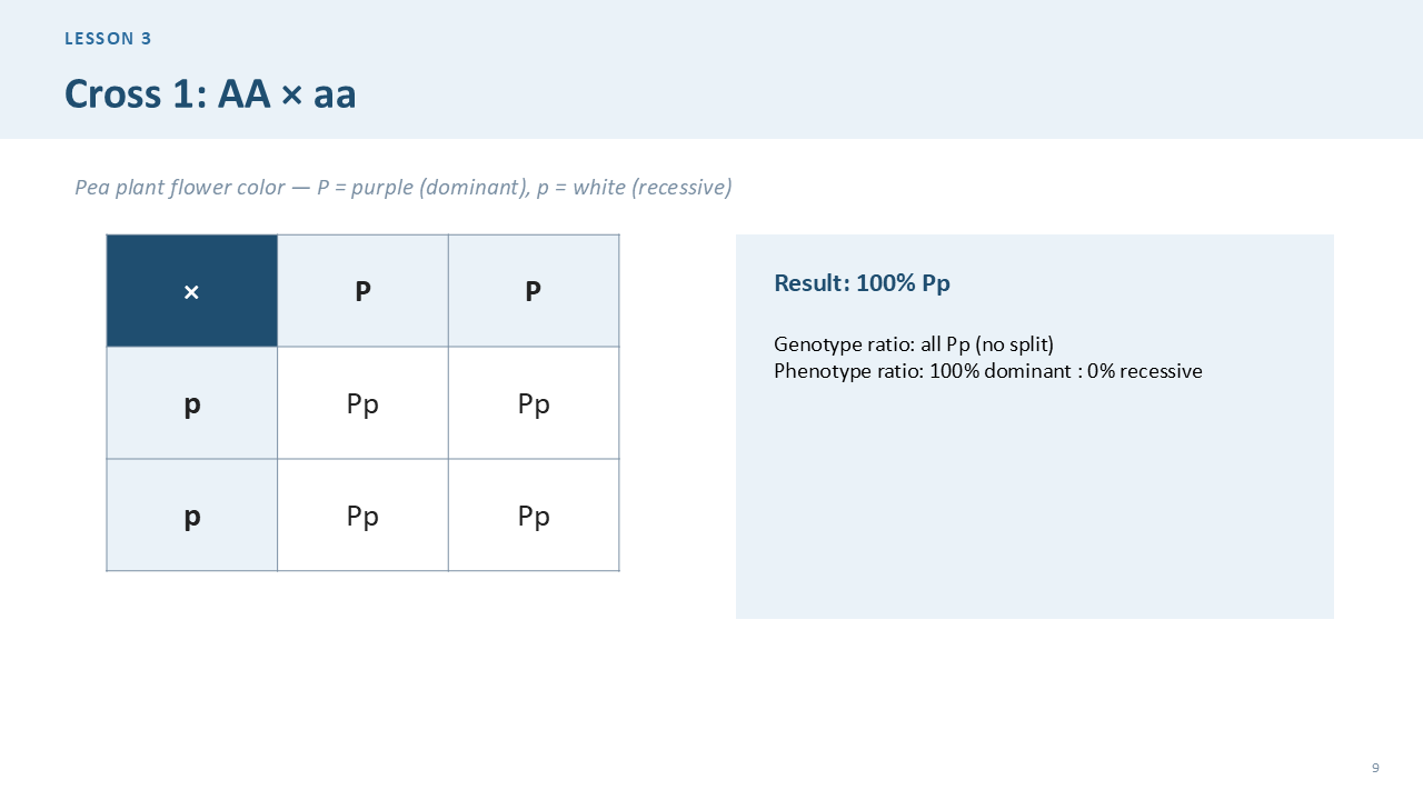Preview of Grade 10 Science PowerPoint: Genetics & Punnett Squares