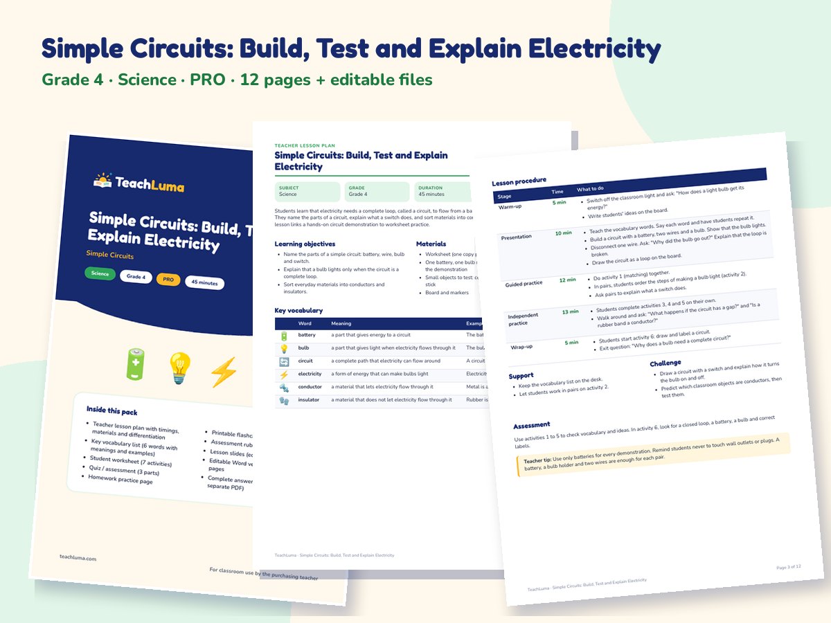 Preview of Simple Circuits: Build, Test and Explain Electricity