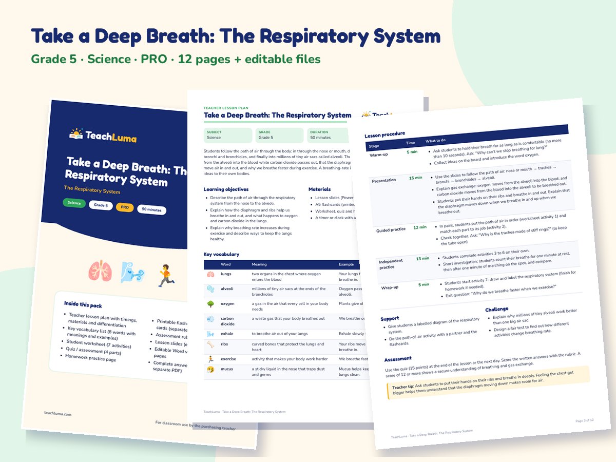 Preview of Take a Deep Breath: The Respiratory System