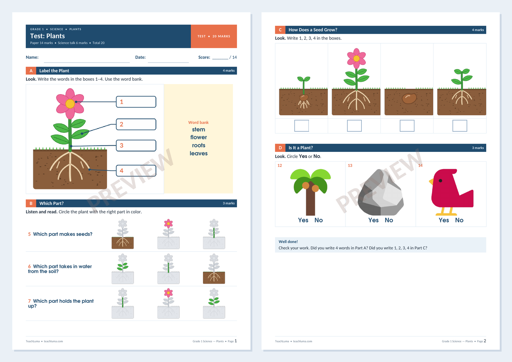 Preview of Grade 1 Science Test: Plants — Paper and Science Talk (20 Marks)