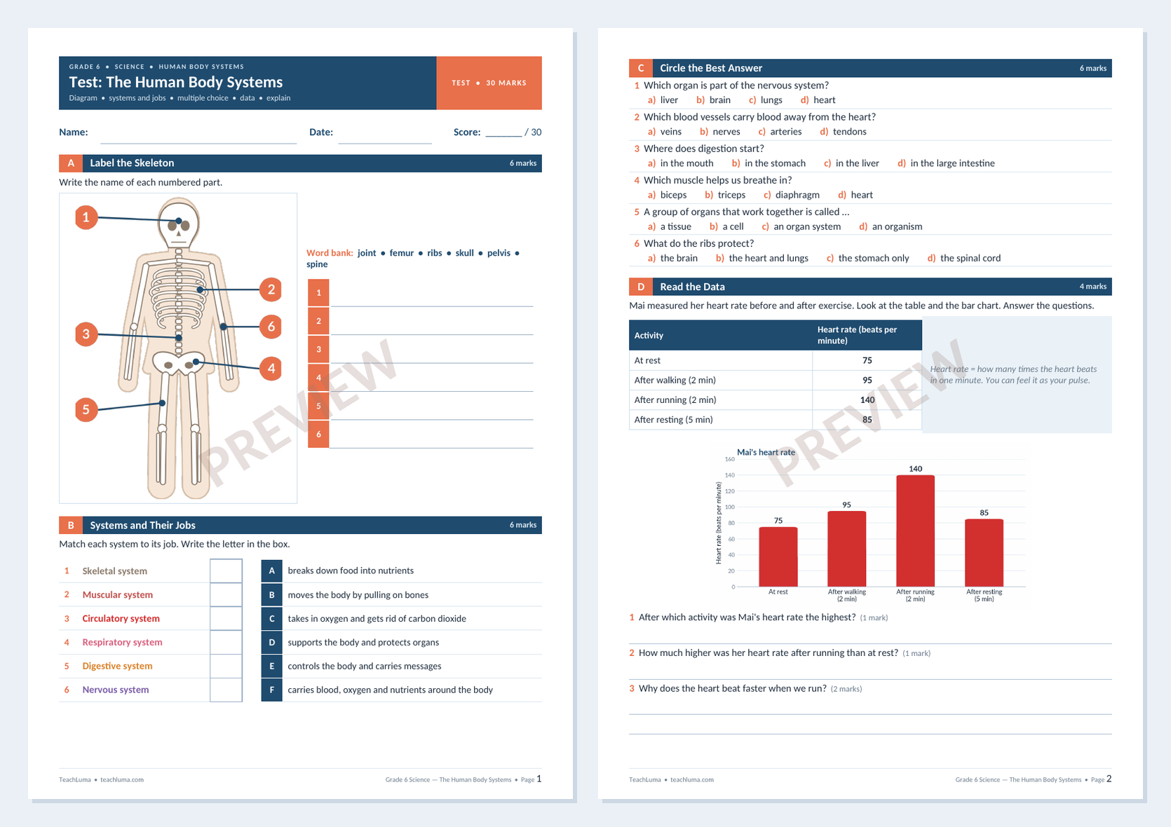 Preview of Grade 6 Science Test: The Human Body Systems (30 Marks)