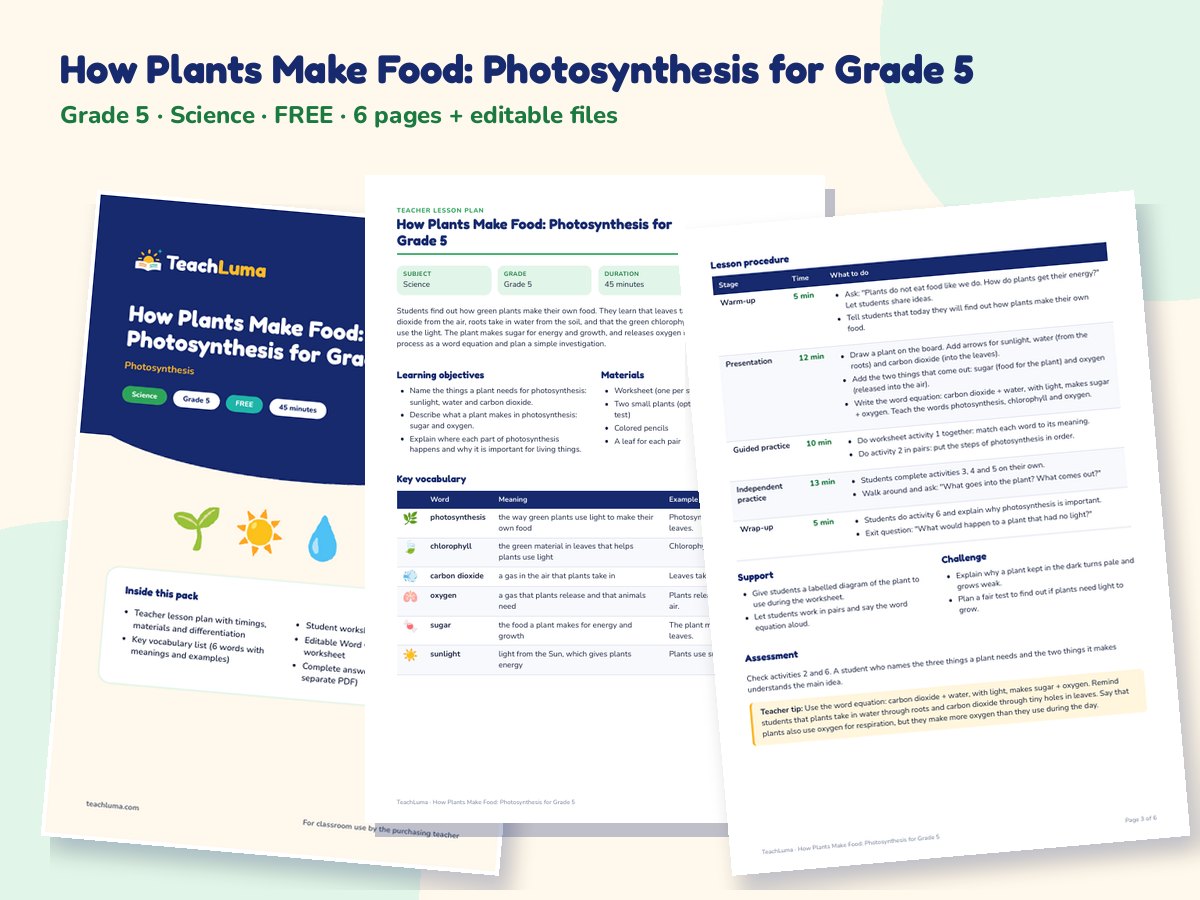 Preview of How Plants Make Food: Photosynthesis for Grade 5