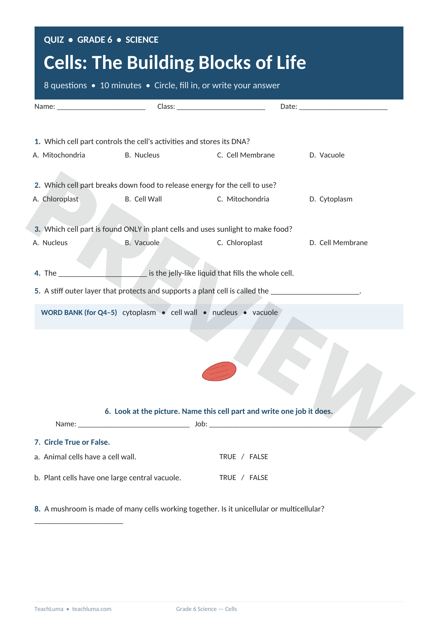 Preview of Grade 6 Science Quiz: Cells — The Building Blocks of Life