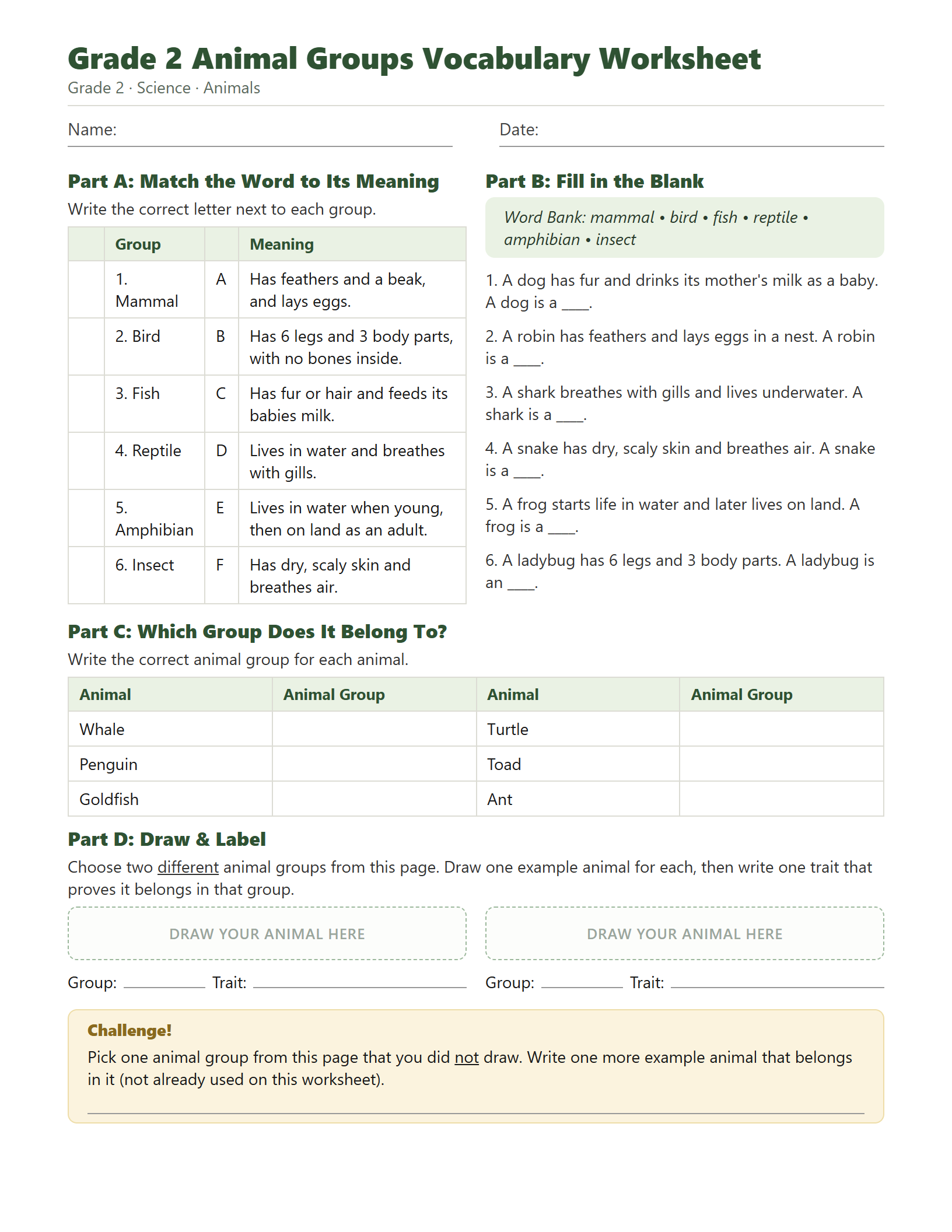 Preview of Grade 2 Animal Groups Vocabulary Worksheet