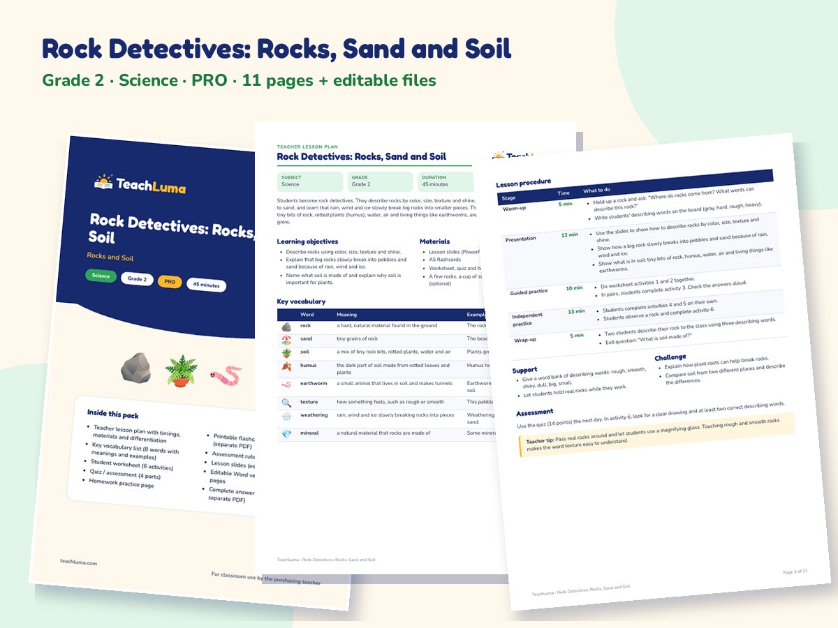Preview of Rock Detectives: Rocks, Sand and Soil