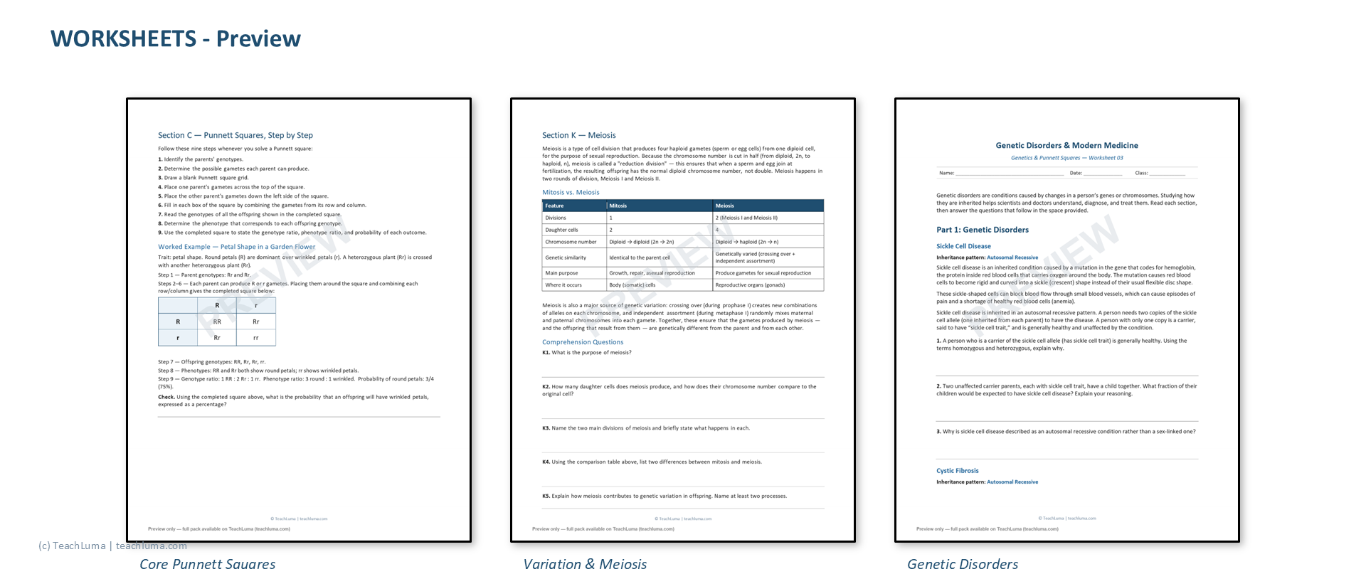 Preview of Grade 10 Science Worksheets: Genetics & Punnett Squares (Complete Practice Set)
