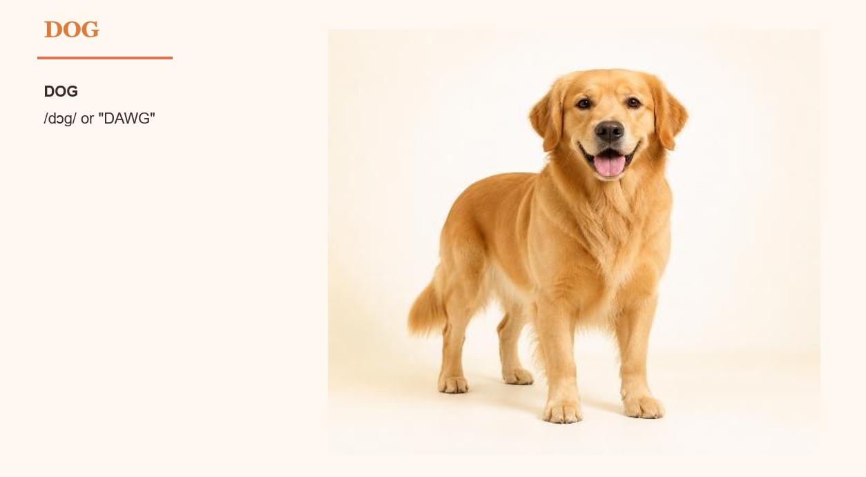 Animals Flashcards