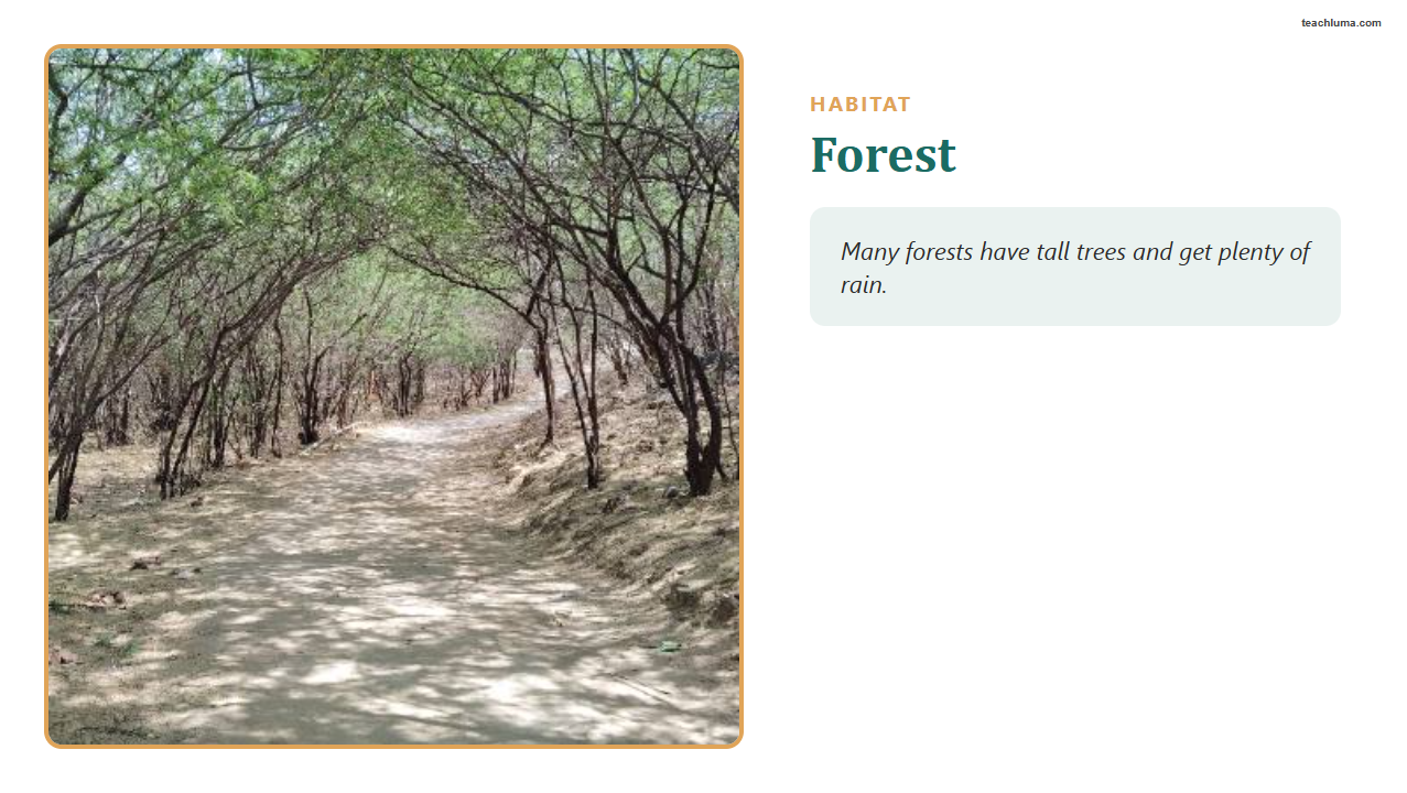 Preview of Grade 2 Habitats Introduction and Vocabulary PowerPoint