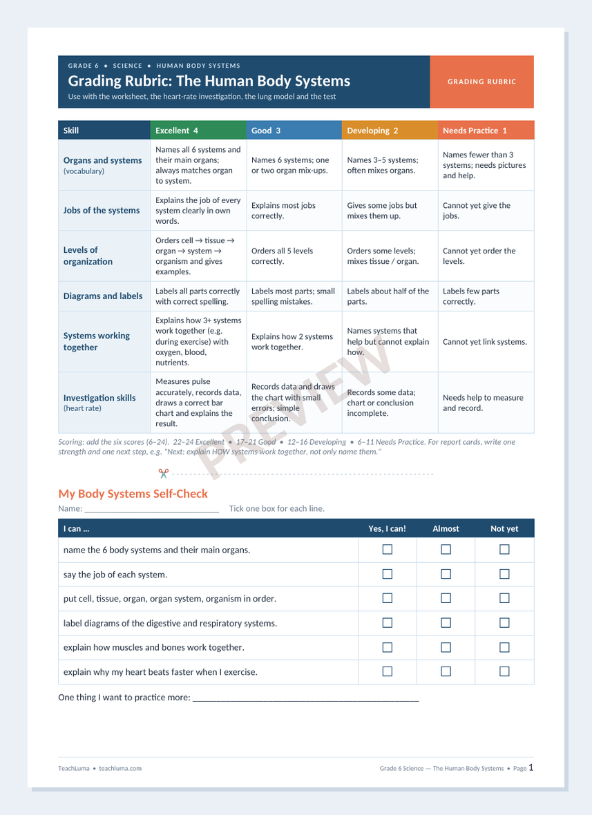 Preview of Grade 6 Science Grading Rubric: The Human Body Systems