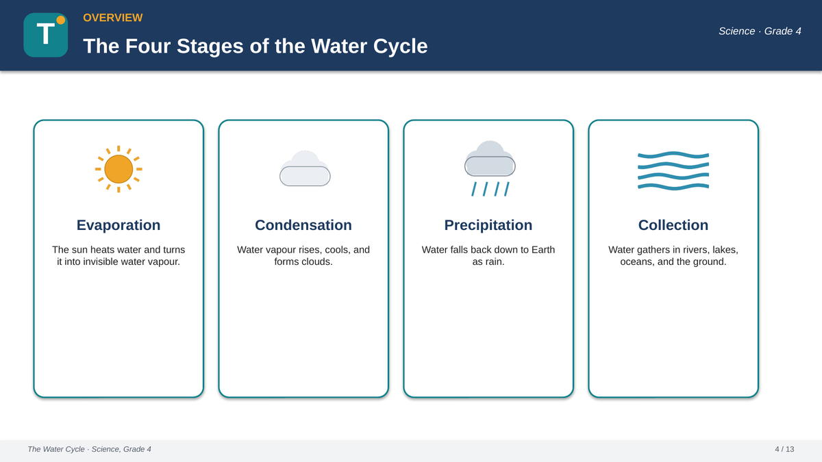 Grade 4 The Water Cycle Vocabulary and Concepts PowerPoint