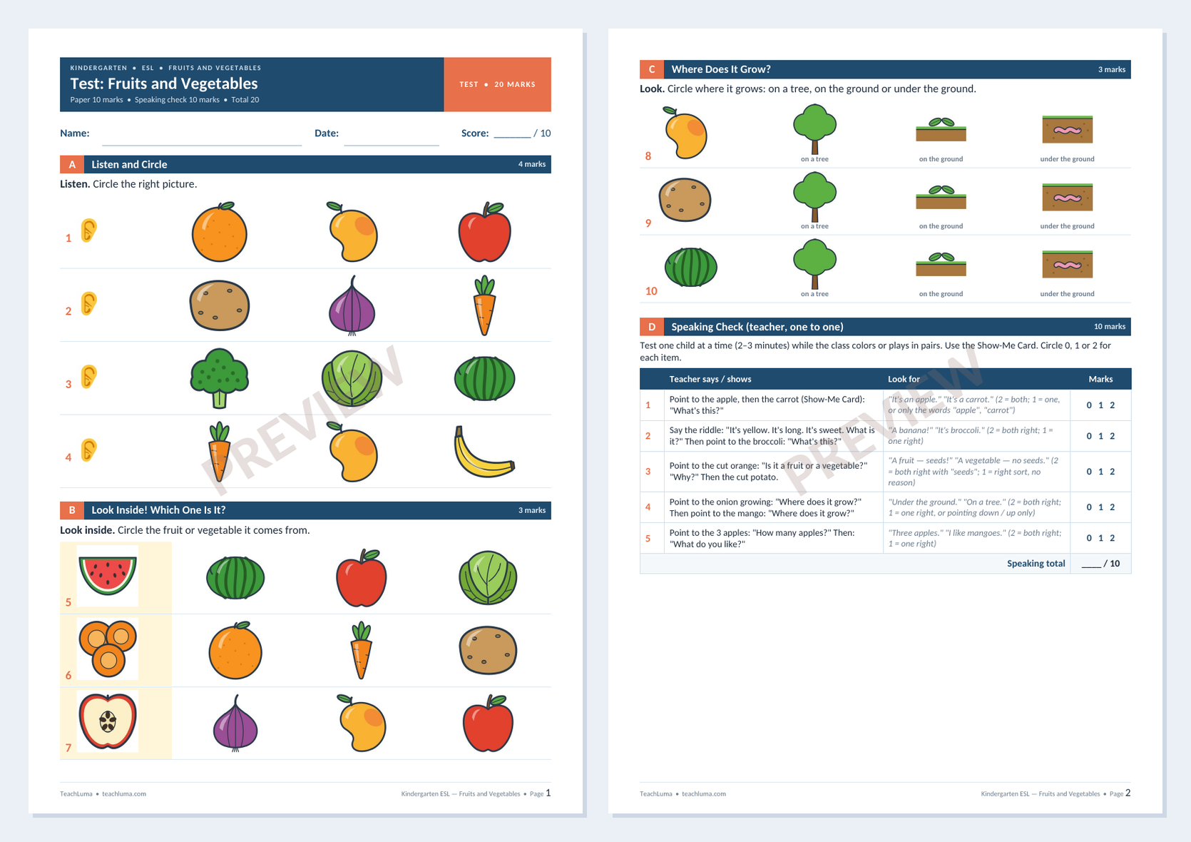 Preview of Kindergarten ESL Test: Fruits and Vegetables — Paper and Speaking Check (20 Marks)