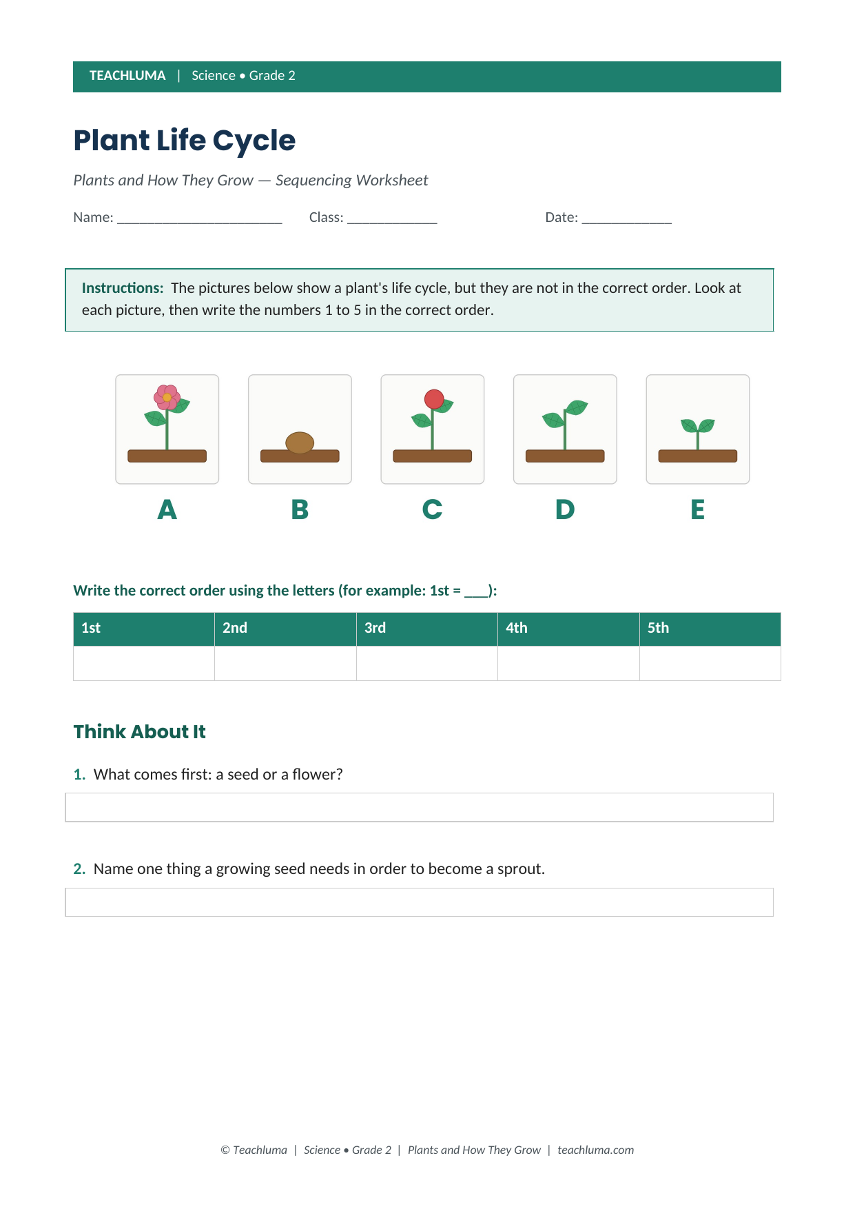Grade 2 Plant Life Cycle Sequencing Worksheet