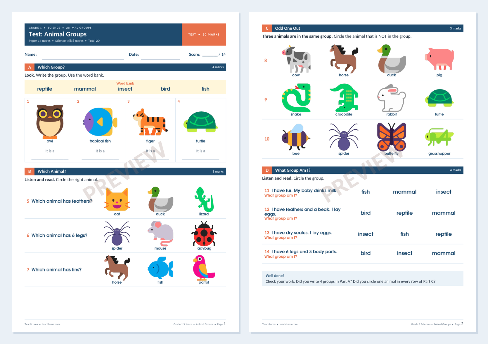 Preview of Grade 1 Science Test: Animal Groups — Paper and Science Talk (20 Marks)