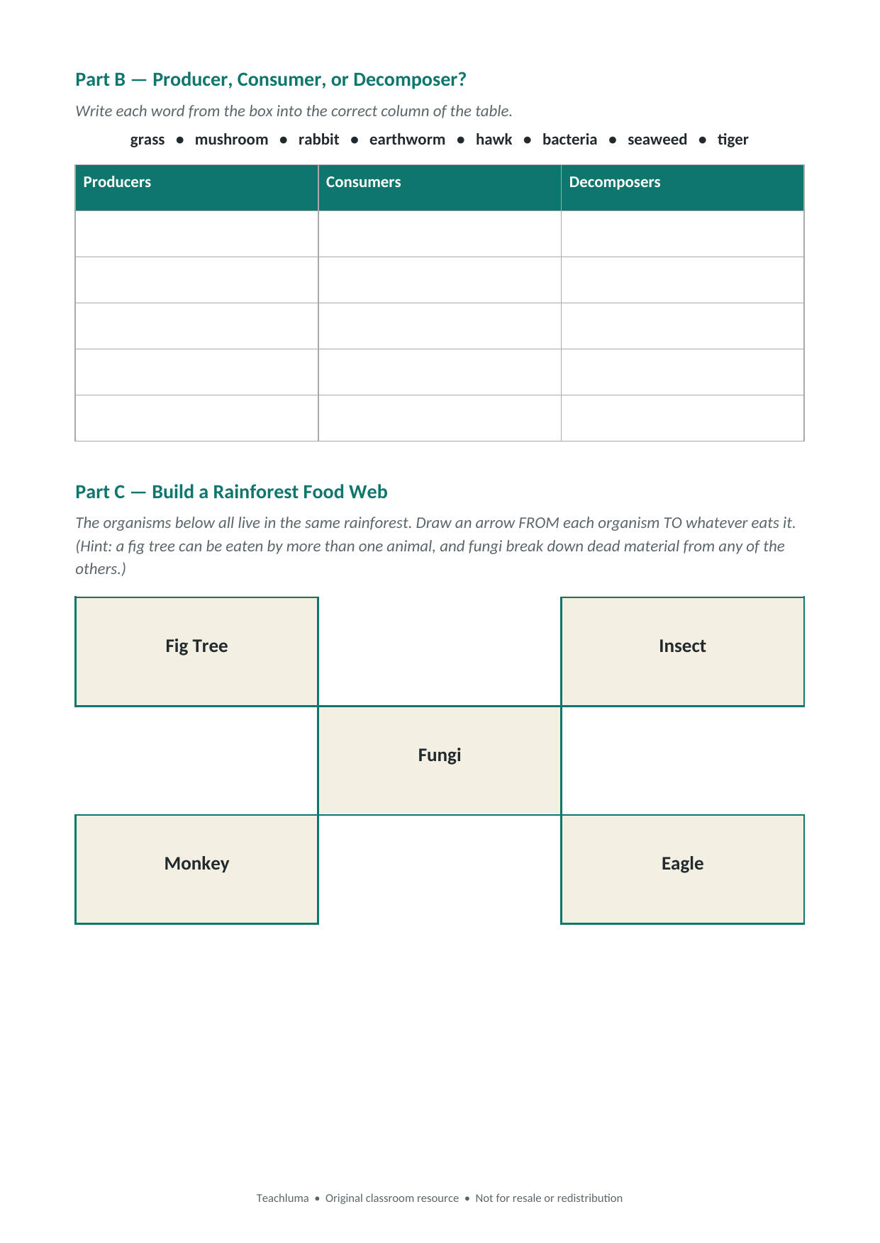 Grade 5 Food Chains and Food Webs Worksheet
