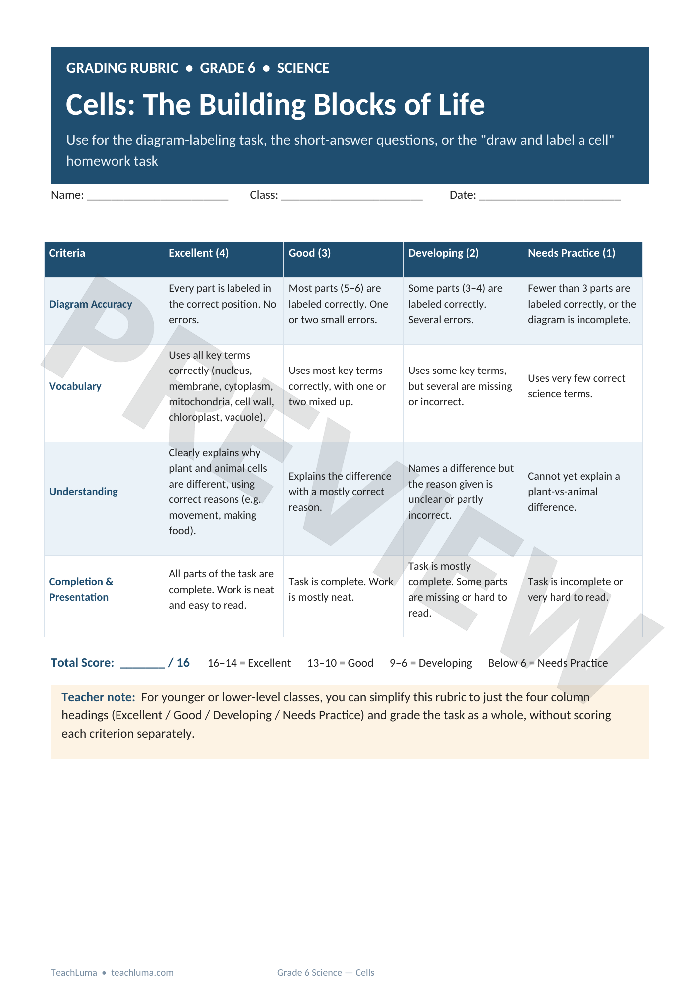 Preview of Grade 6 Science Grading Rubric: Cells — The Building Blocks of Life