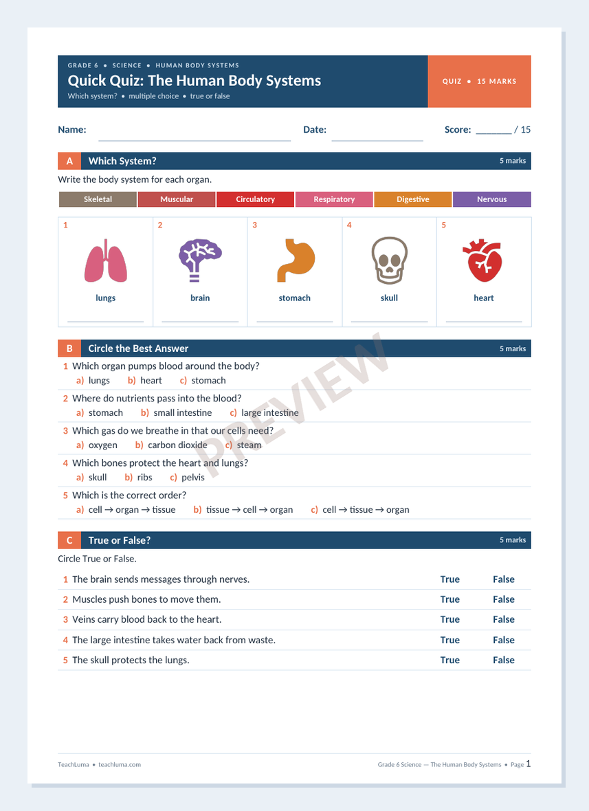 Preview of Grade 6 Science Quiz: The Human Body Systems (15 Marks)