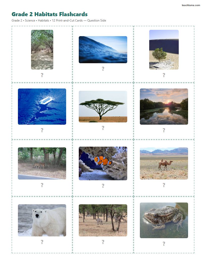 Preview of Grade 2 Habitats Flashcards