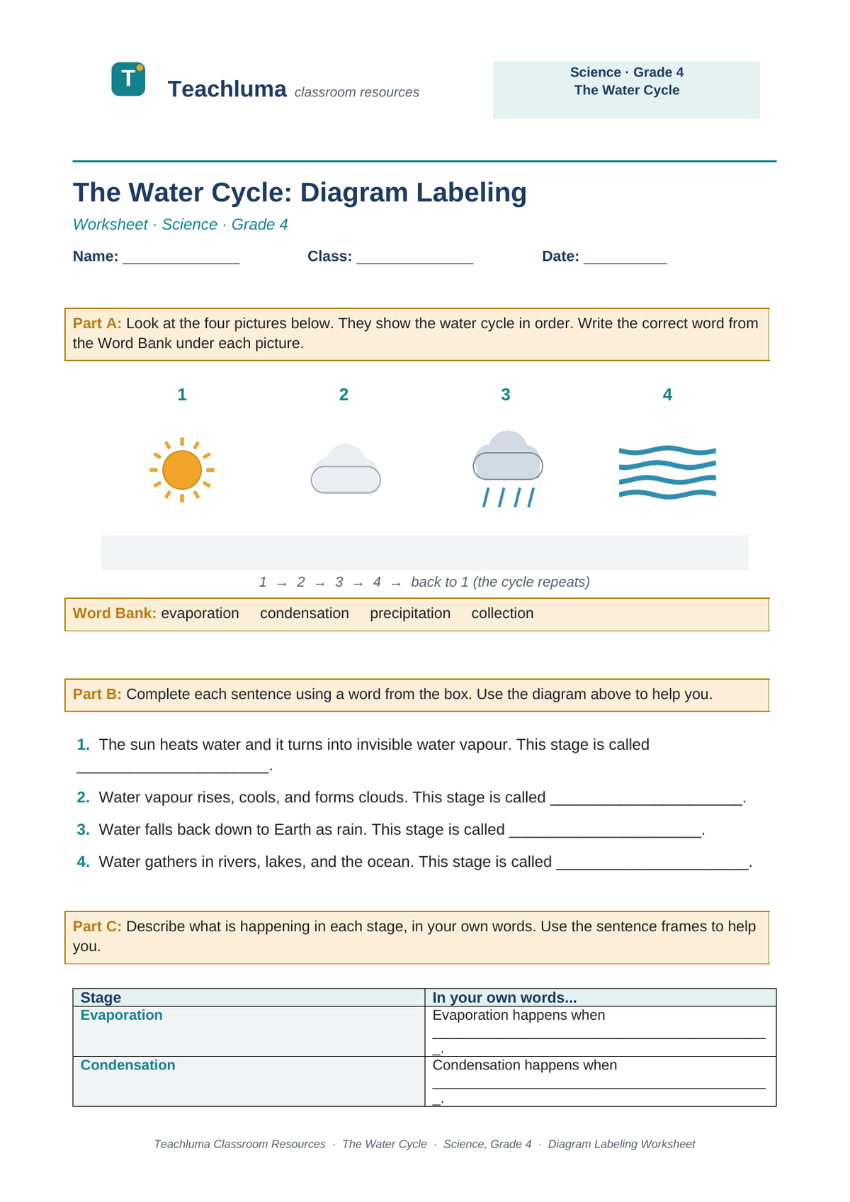 Grade 4 The Water Cycle Diagram Labeling Worksheet
