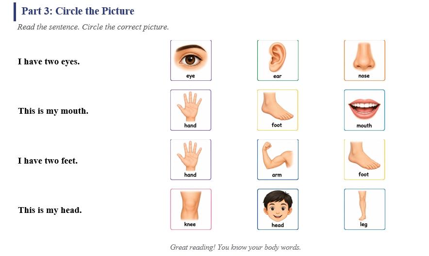 My Body Reading Activity