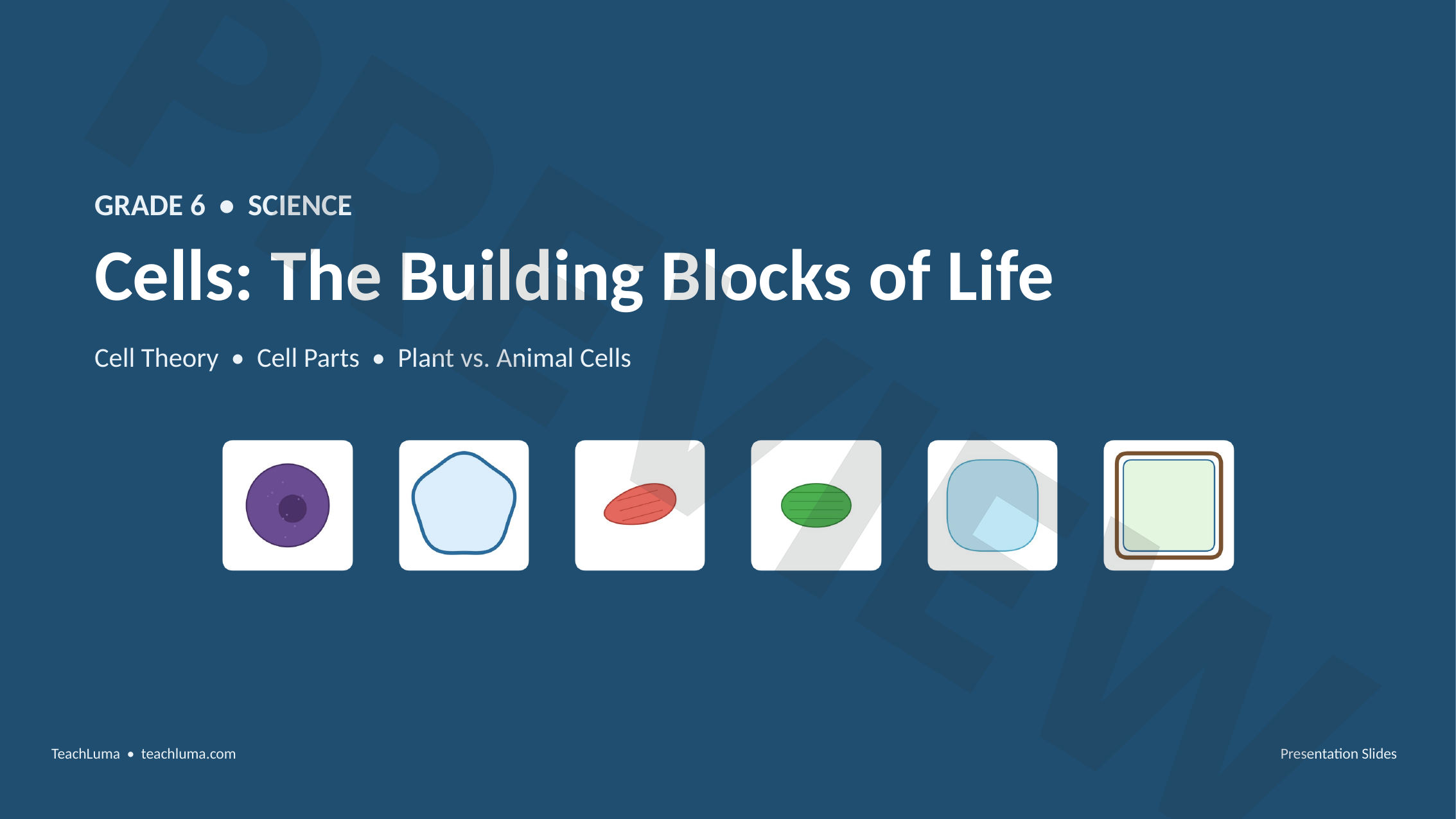 Preview of Grade 6 Science PowerPoint: Cells — The Building Blocks of Life