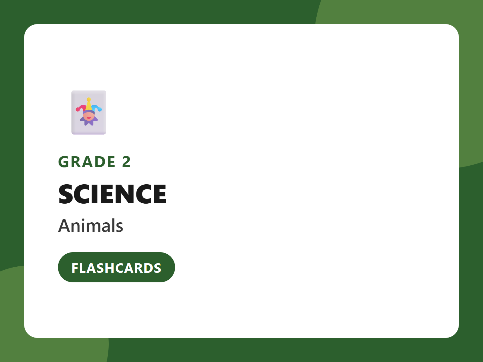 Grade 2 Animal Groups Flashcards