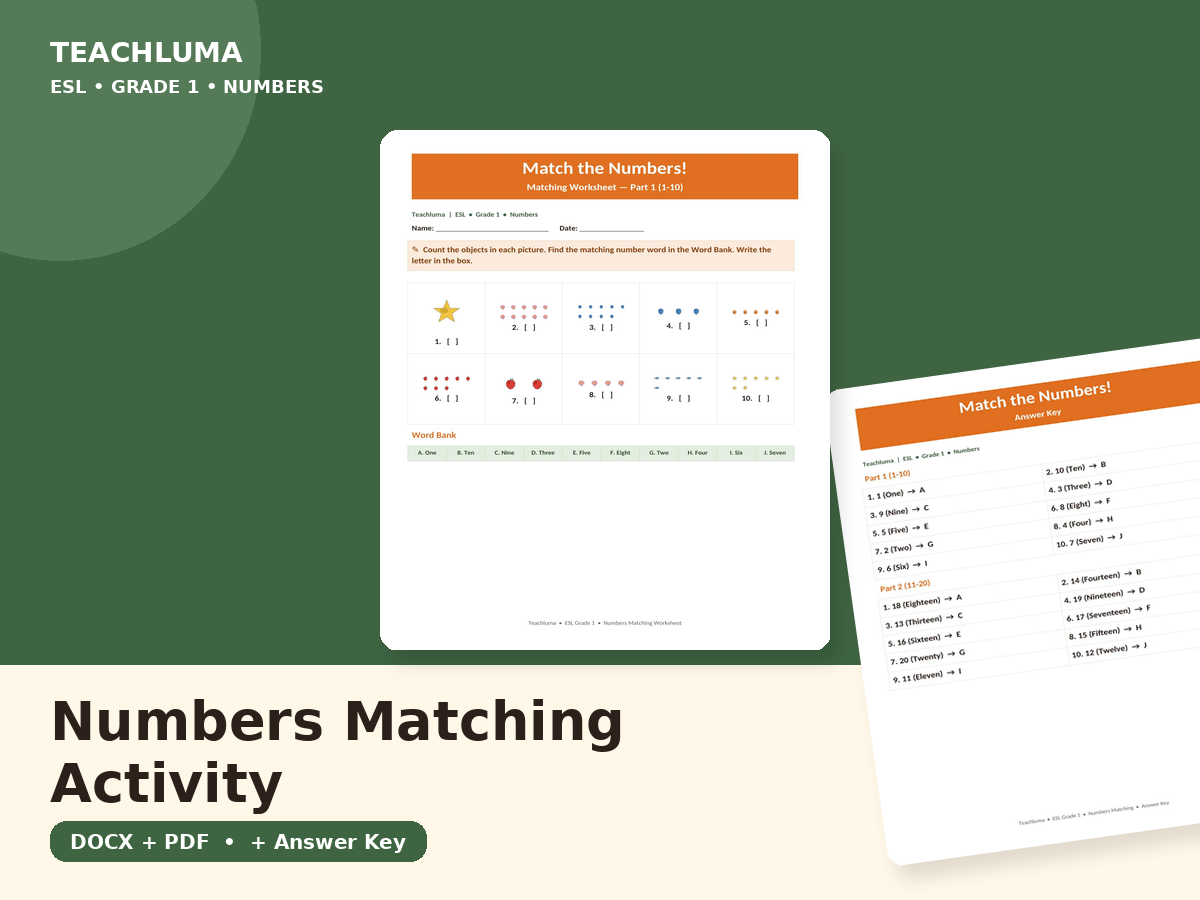 Numbers — Matching Activity
