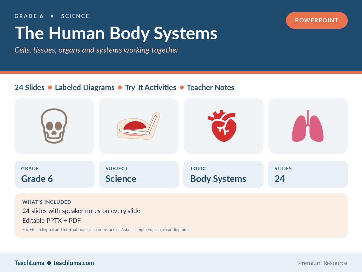 Grade 6 Science PowerPoint: The Human Body Systems — Levels, 6 Systems and Diagrams (24 Slides)