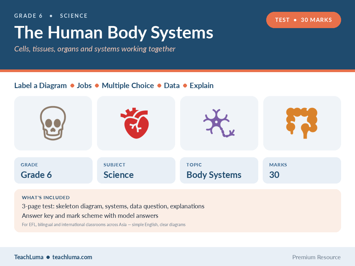 Grade 6 Science Test: The Human Body Systems (30 Marks)