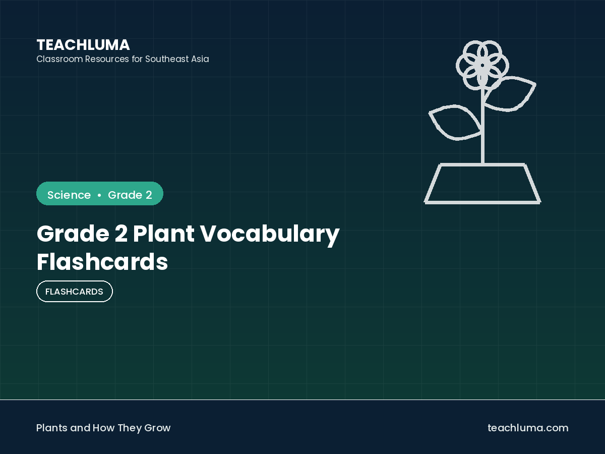 Grade 2 Plant Vocabulary Flashcards