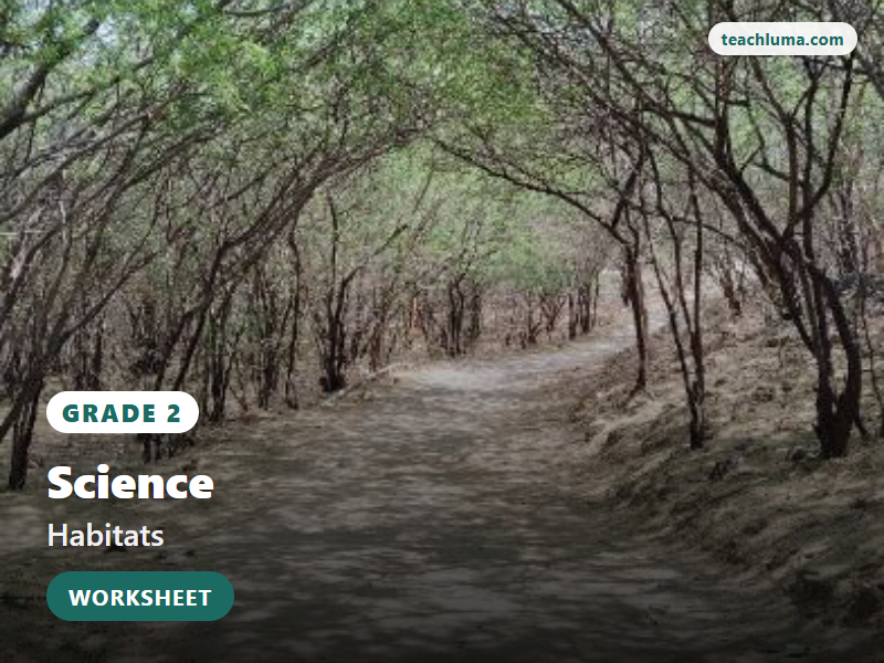 Grade 2 Habitat Types Worksheet