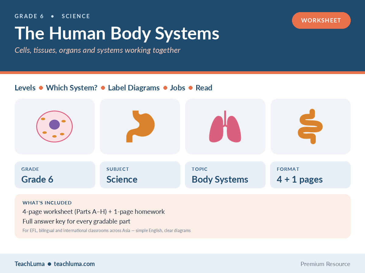 Grade 6 Science Worksheet: The Human Body Systems — Levels, Which System?, Label Diagrams, Jobs and Reading