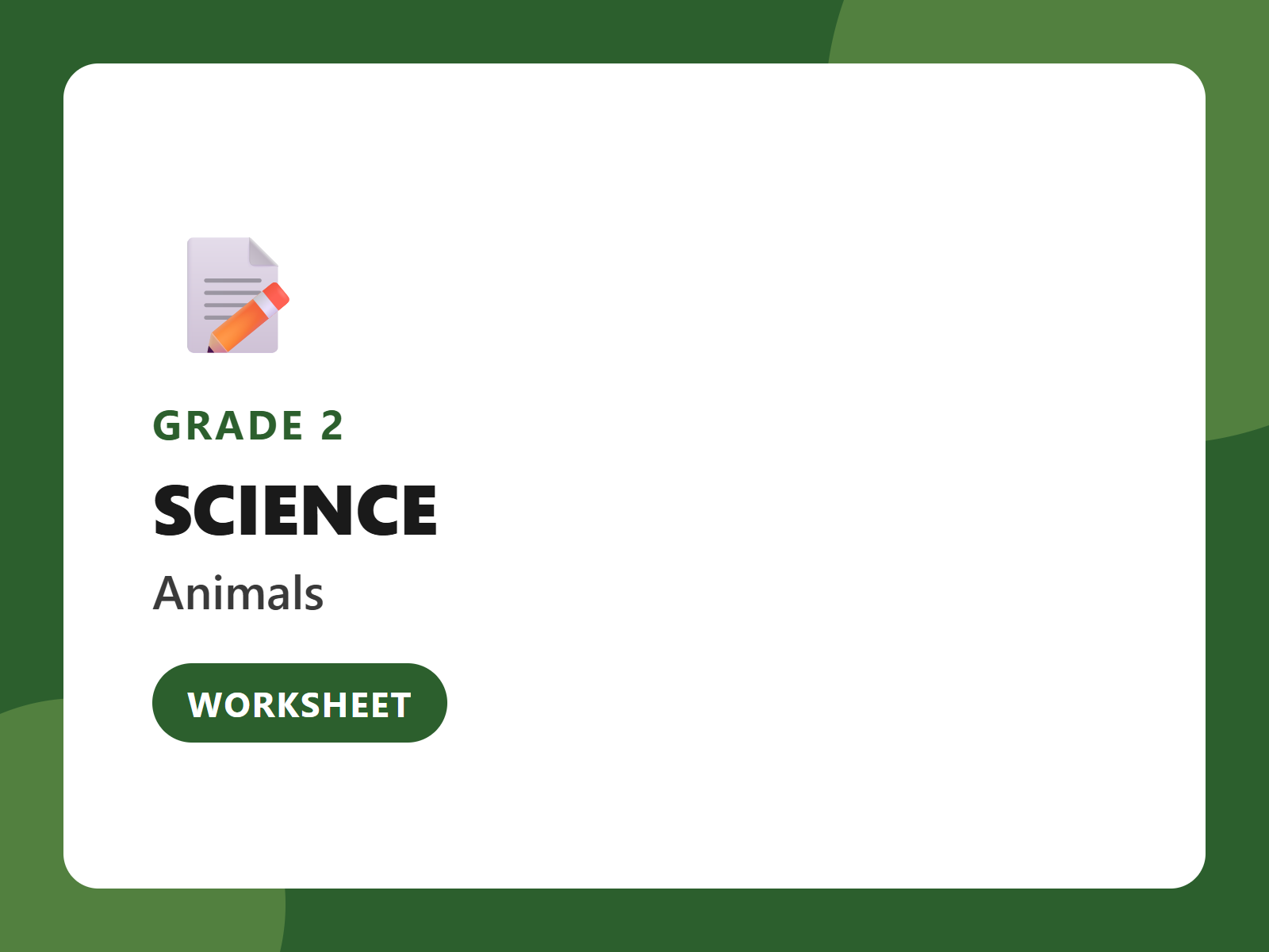 Grade 2 Animal Groups Vocabulary Worksheet