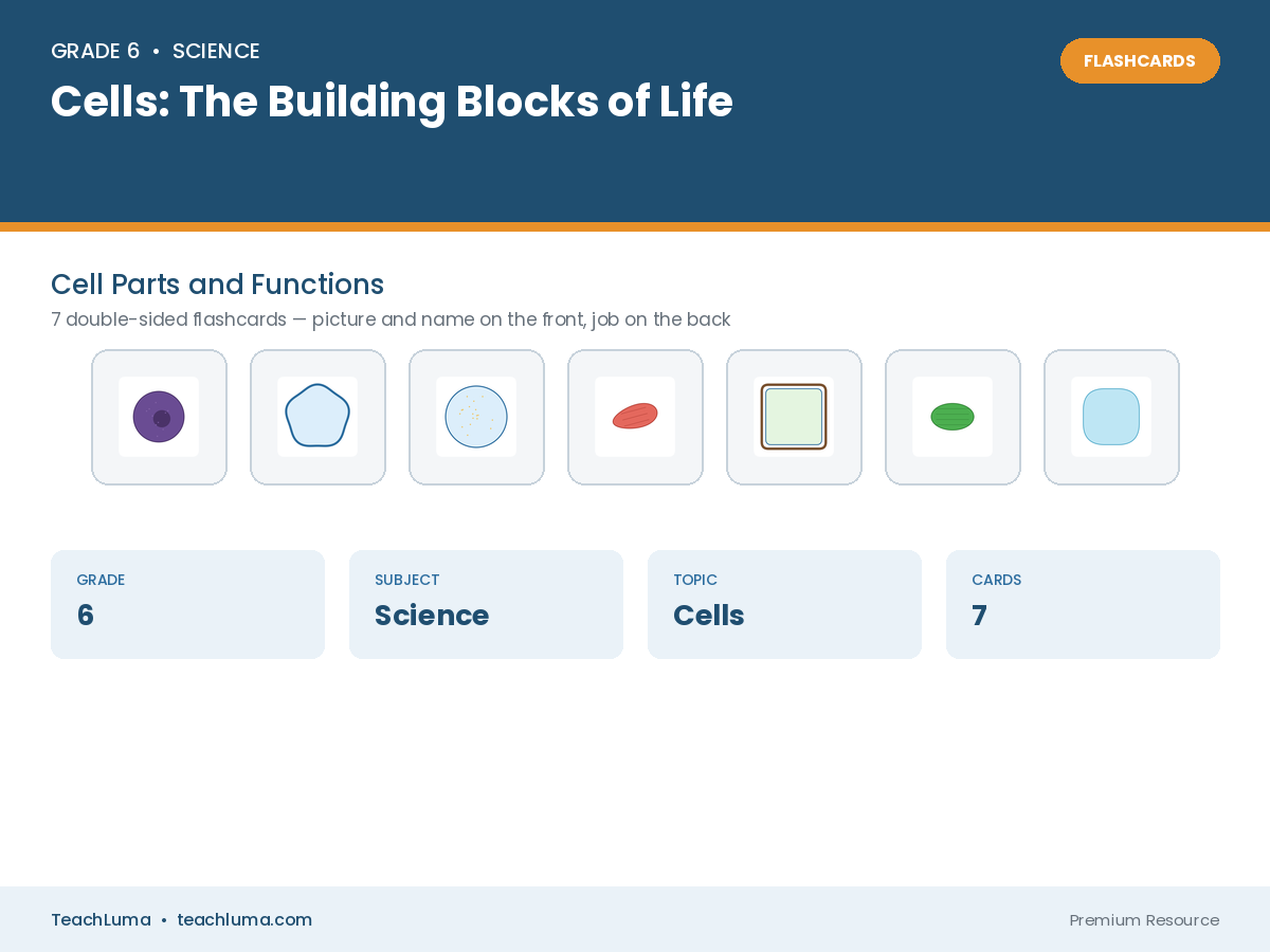 Grade 6 Science Flashcards: Cell Parts and Functions